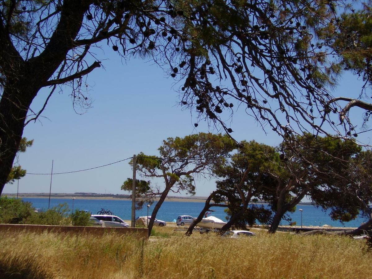 Water View Brand New Apartment, Short Stroll To Beach, Peaceful! Košljun Esterno foto